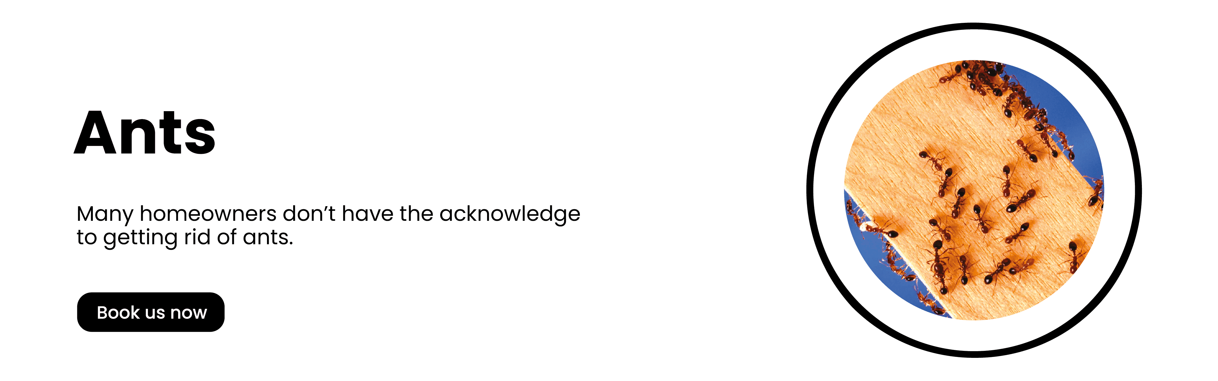 Get'm pest control Get'm pest control