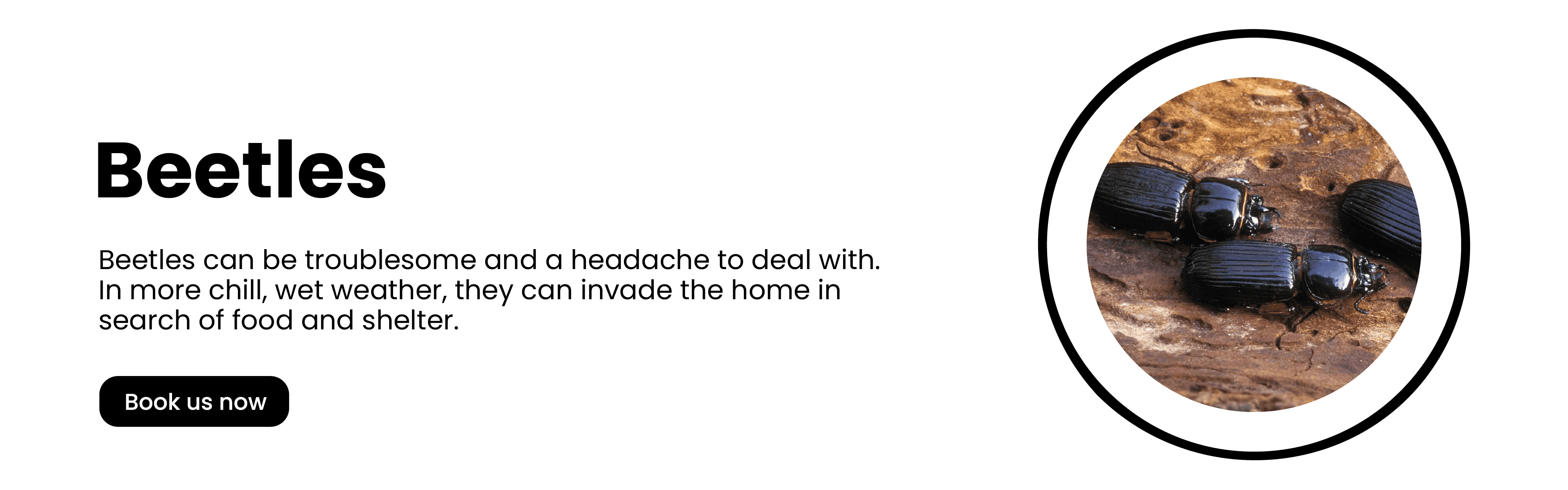 Get'm pest control Get'm pest control