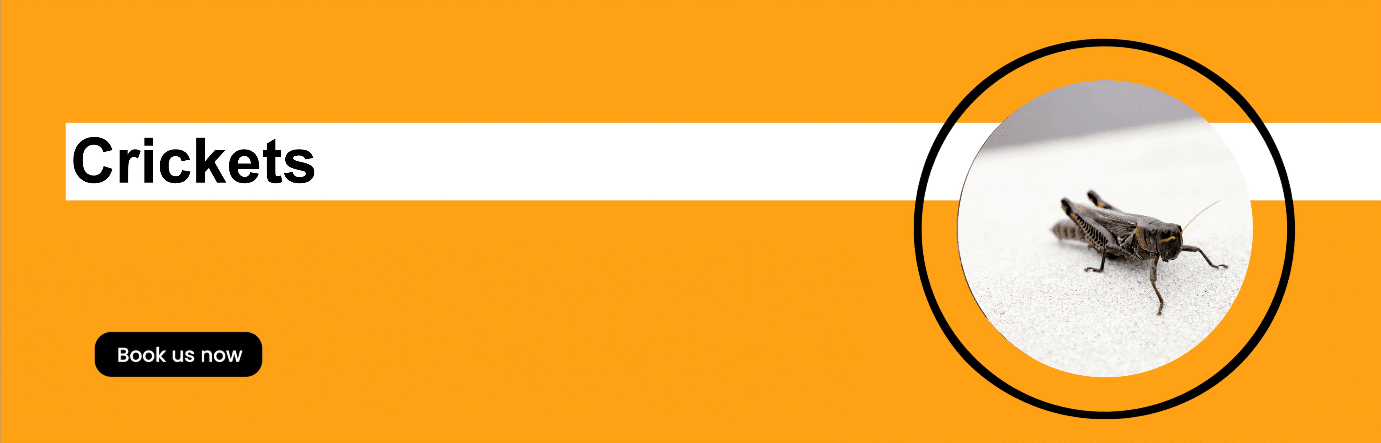 Get'm pest control Get'm pest control