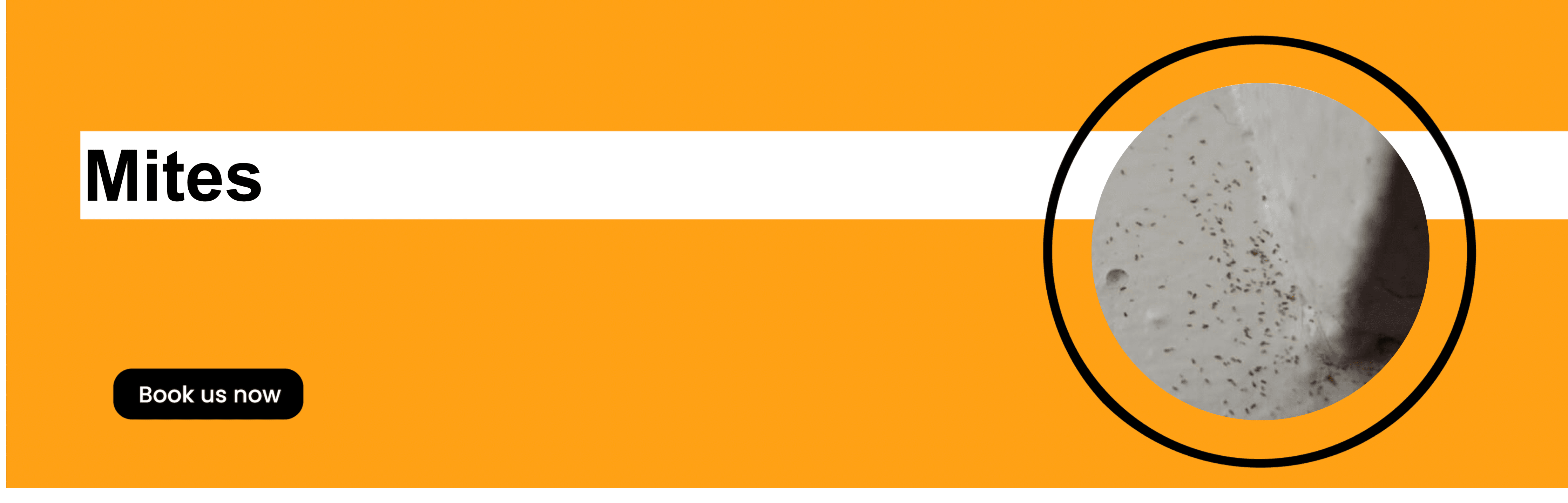 Get'm pest control Get'm pest control