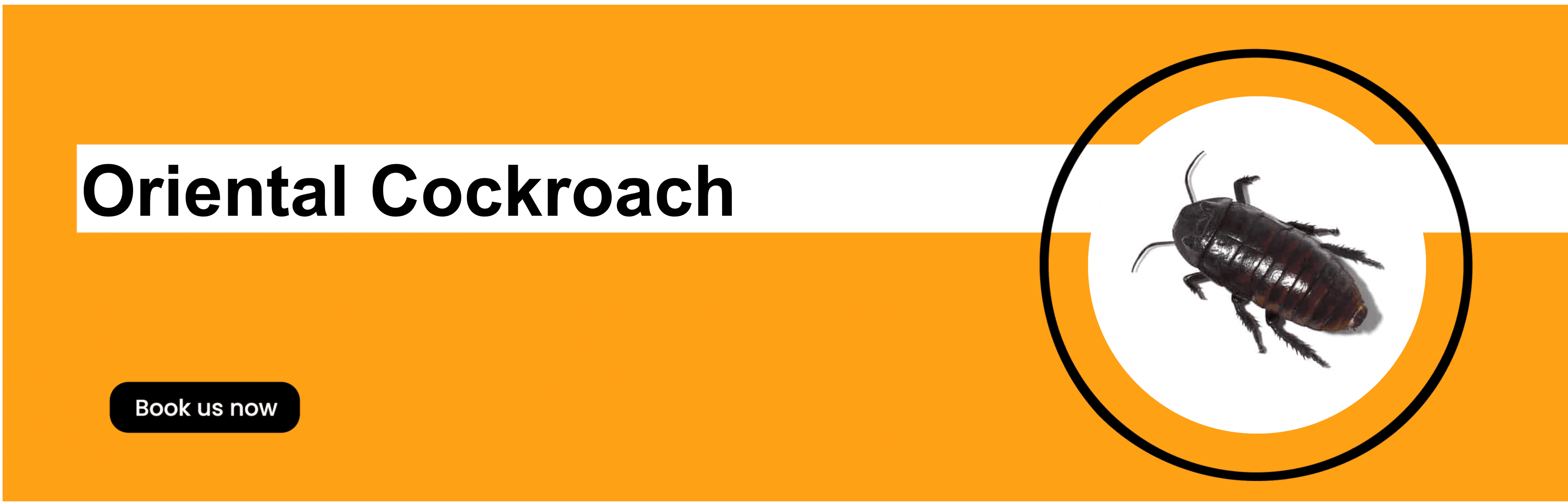 Get'm pest control Get'm pest control