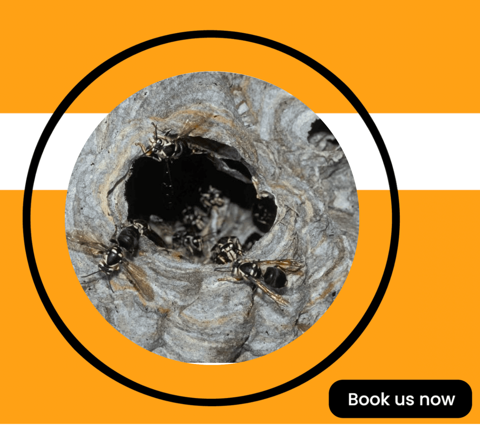 Get'm pest control Get'm pest control