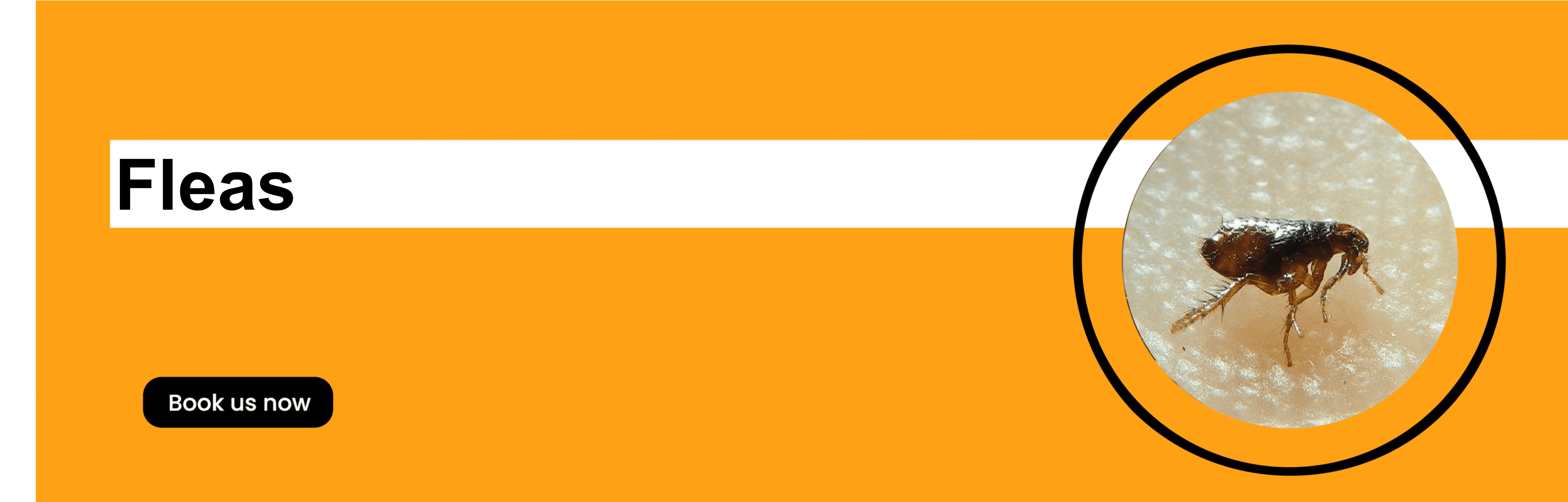 Get'm pest control Get'm pest control